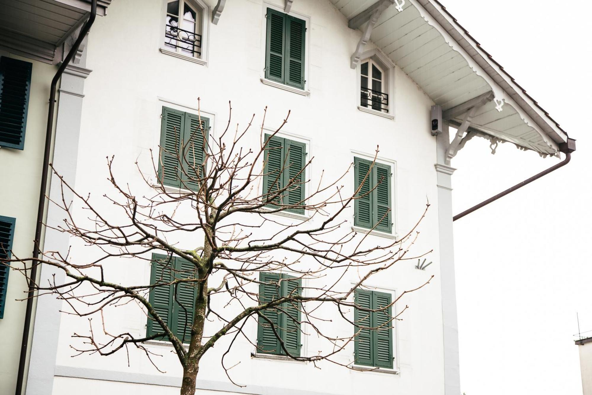 Nimbuzzz Apartments Unterseen 外观 照片